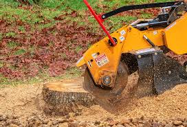 Best Seasonal Cleanup (Spring/Fall)  in Chestnut Ridge, NY